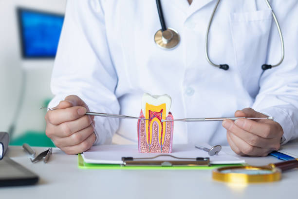 Best Emergency Treatment for Dental Infections or Abscesses in Mitchellville, MD